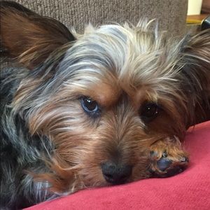 Meet your Posher, Beth